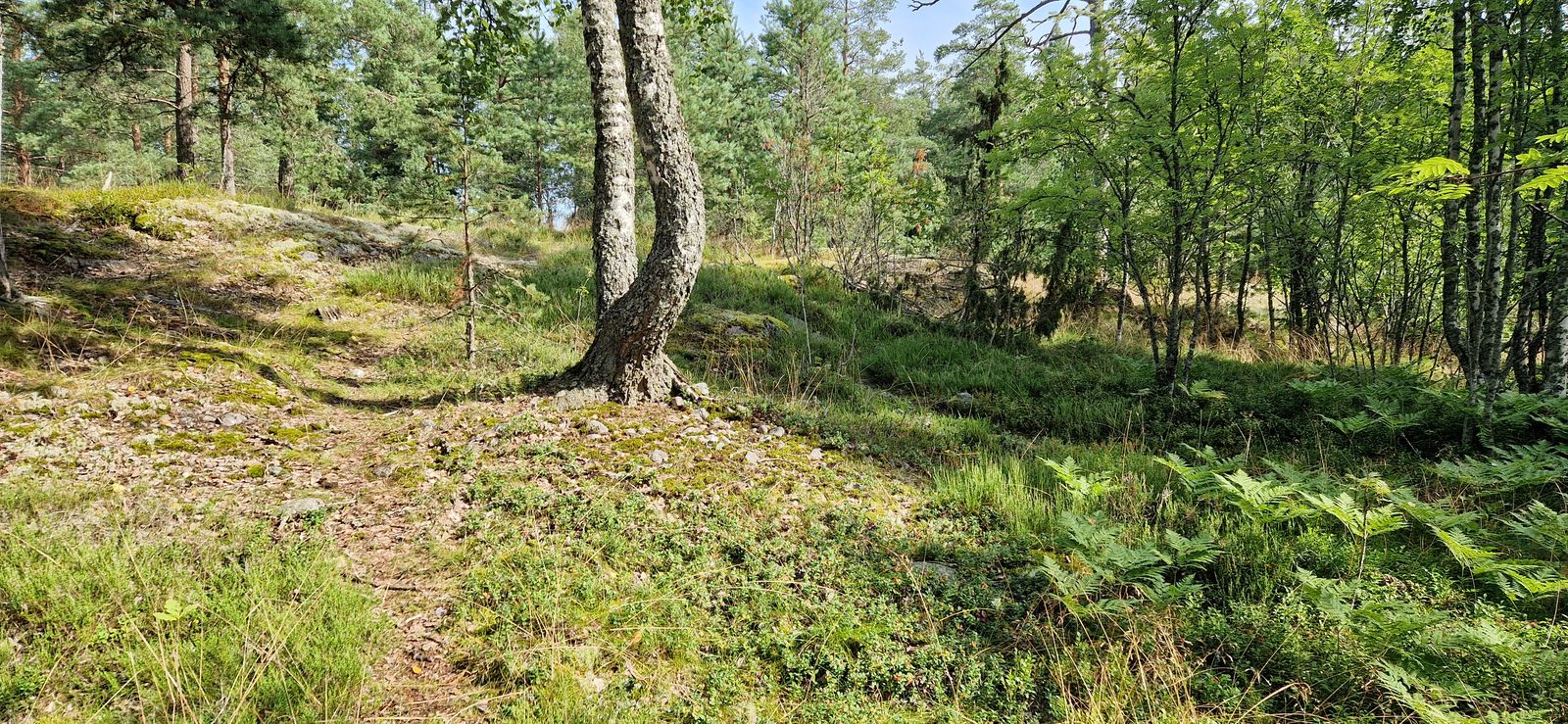 Vanha Itämeri - Neidonkallio