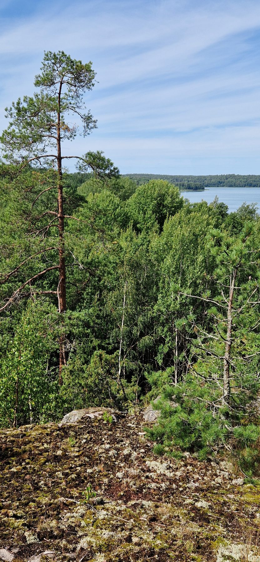 Korkeuseroja ja kallioita
