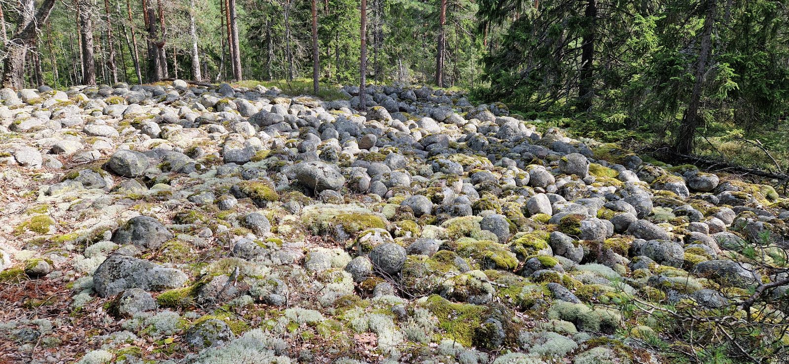 Jääkausi, kuva 7